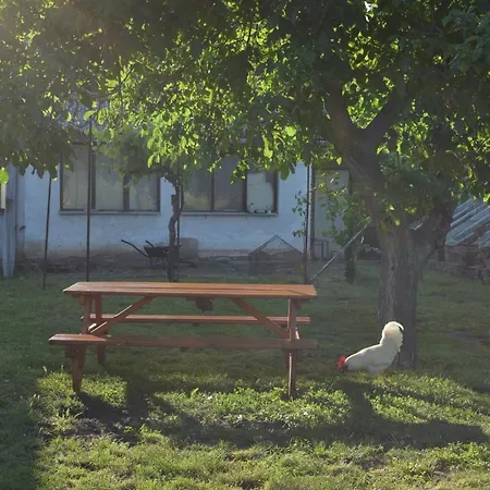 Chalupa Zofka Brod nad Dyji Zewnętrze zdjęcie