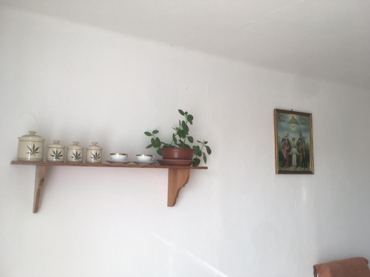 Zofka Holiday home *